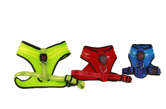 Rechargeable Mesh LED Dog Harness