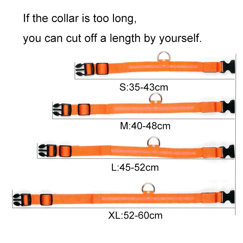Pet LED Collar