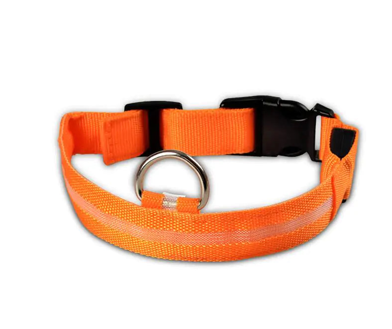 Pet LED Collar