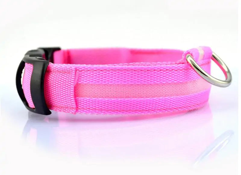 Pet LED Collar