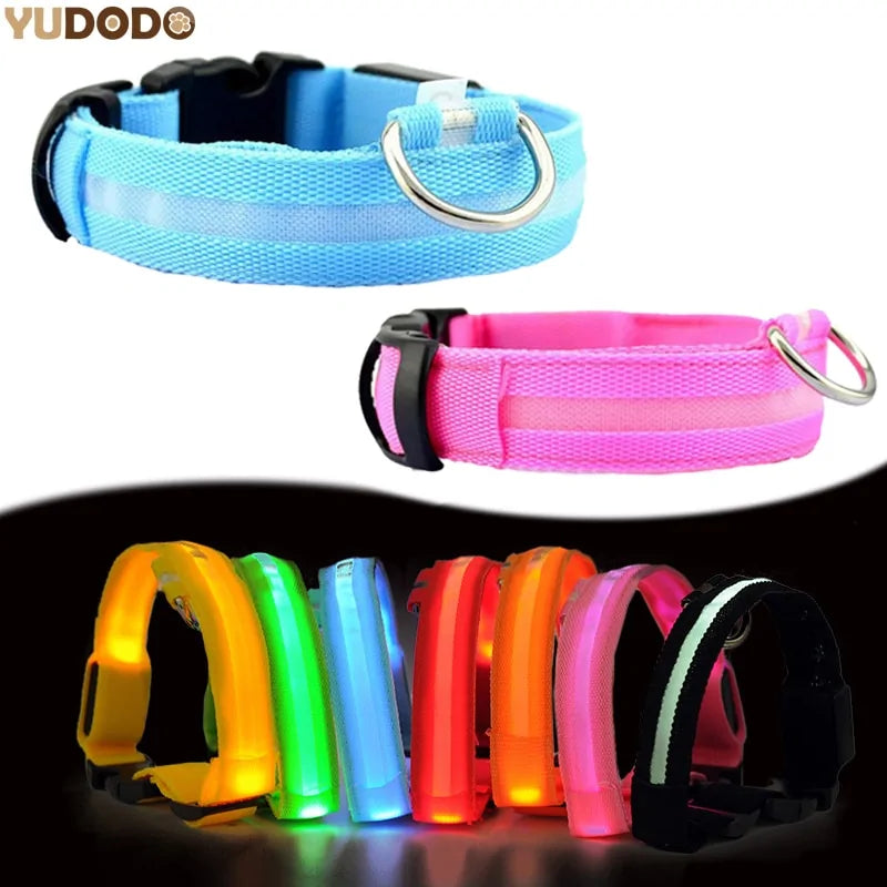 Pet LED Collar