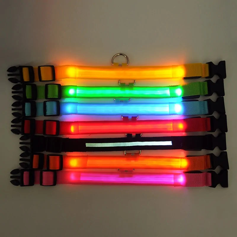 Pet LED Collar