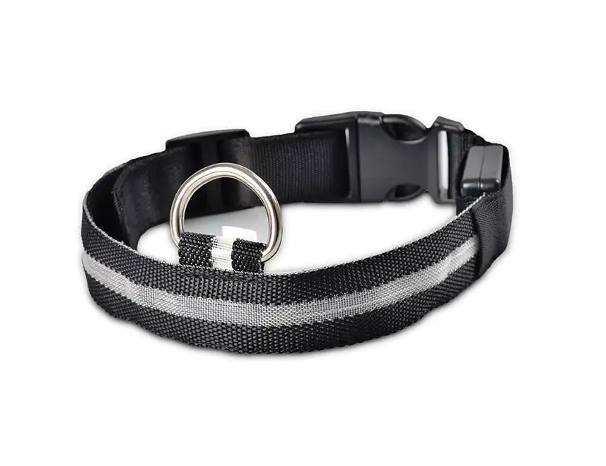 Pet LED Collar