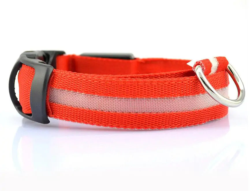 Pet LED Collar