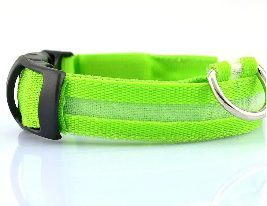 Pet LED Collar