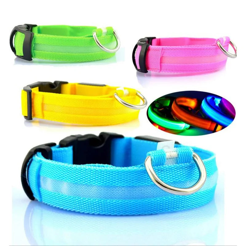 Pet LED Collar