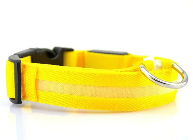 Pet LED Collar